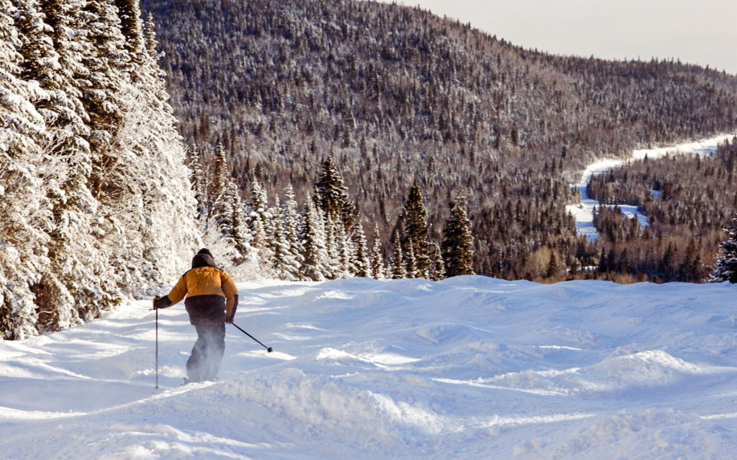 Ski de bosses au Massif de Charlevoix