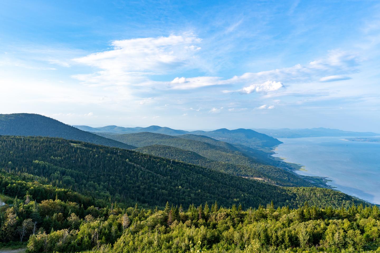 Paysage montagneux avec forêts verdoyantes et ciel bleu au-dessus d'une étendue d'eau.