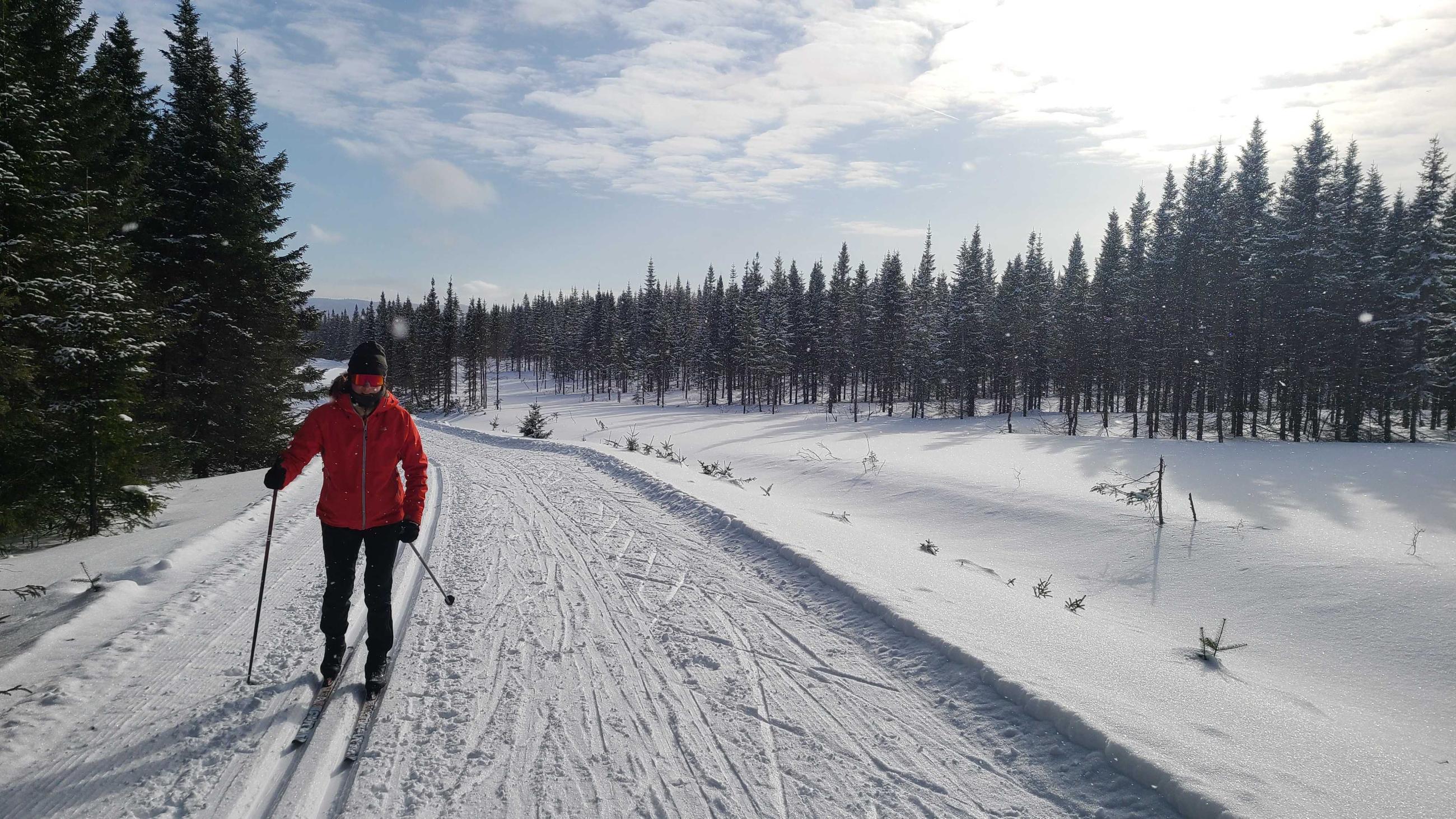 Ski de fond – sentierdescaps