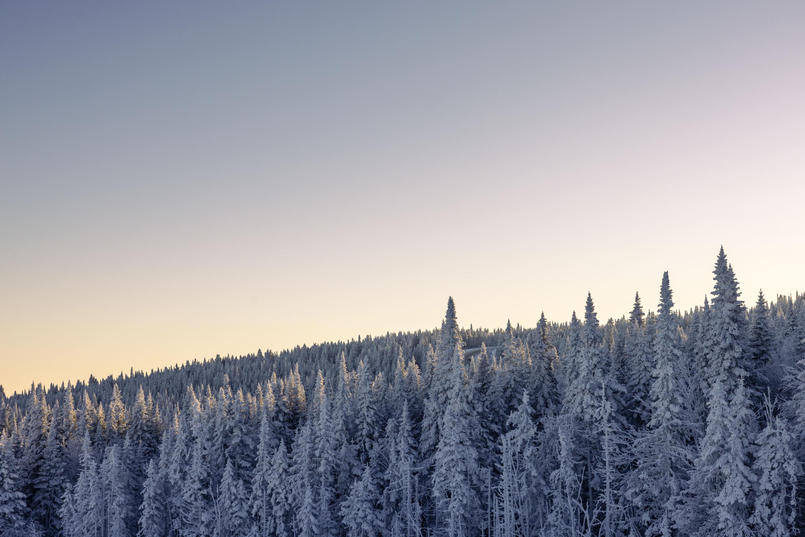 Find Answers to Your Questions in Our FAQ