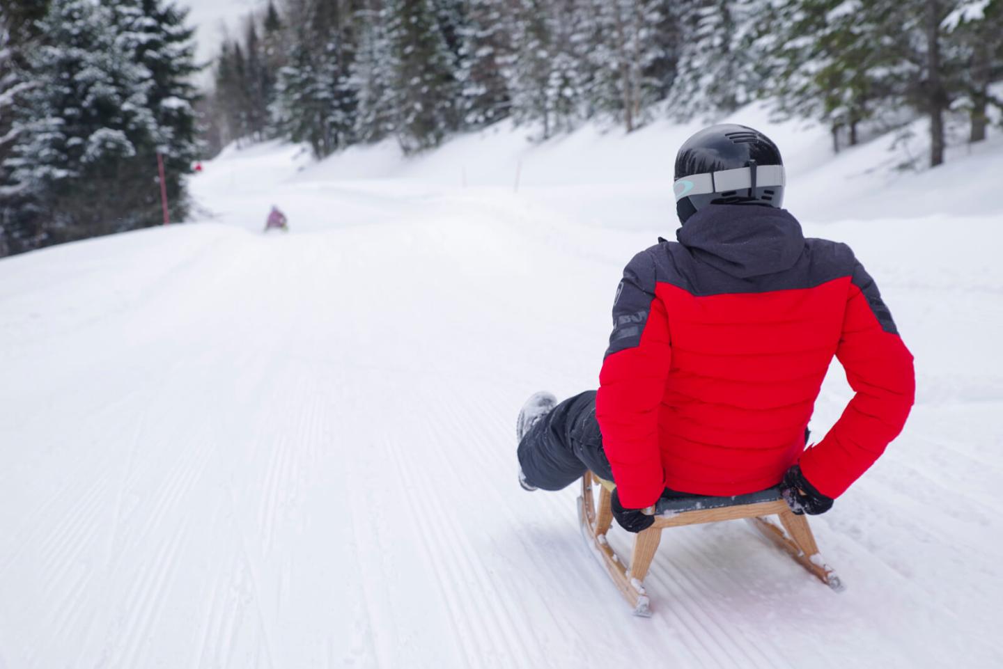 luge