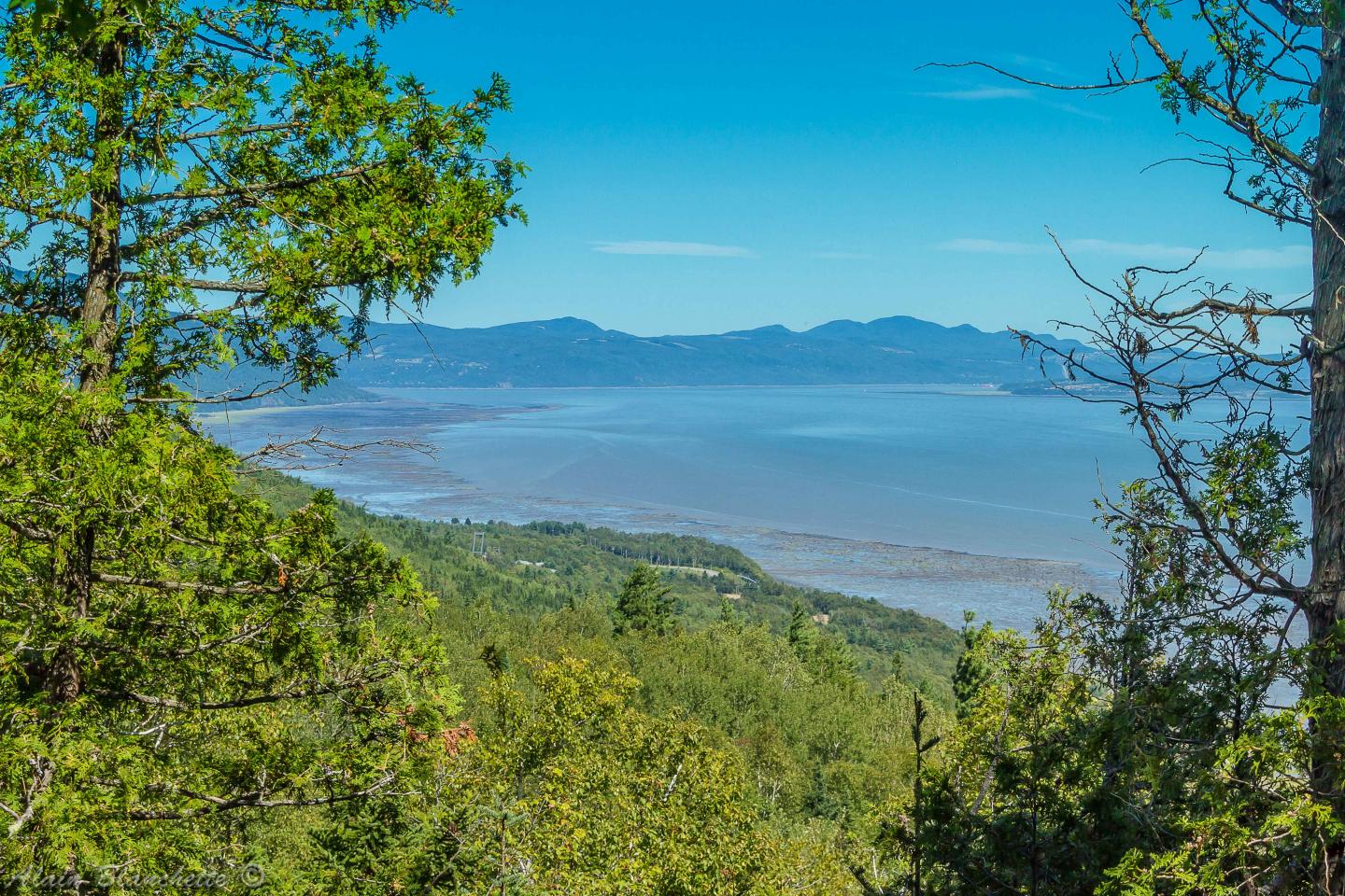 view of forest looking through trees at st. Lawrence reiver in Quebec