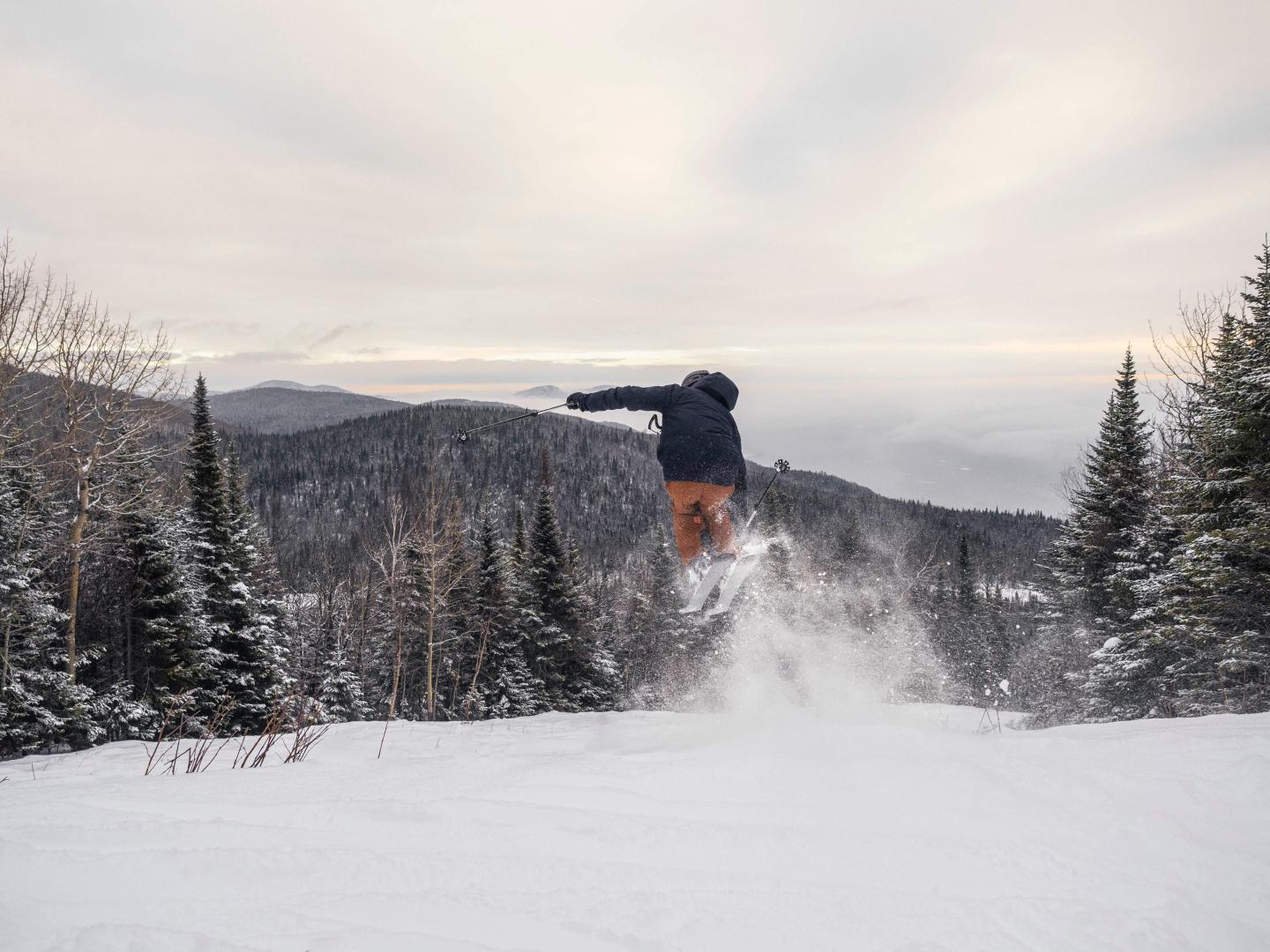 Ski Le Massif