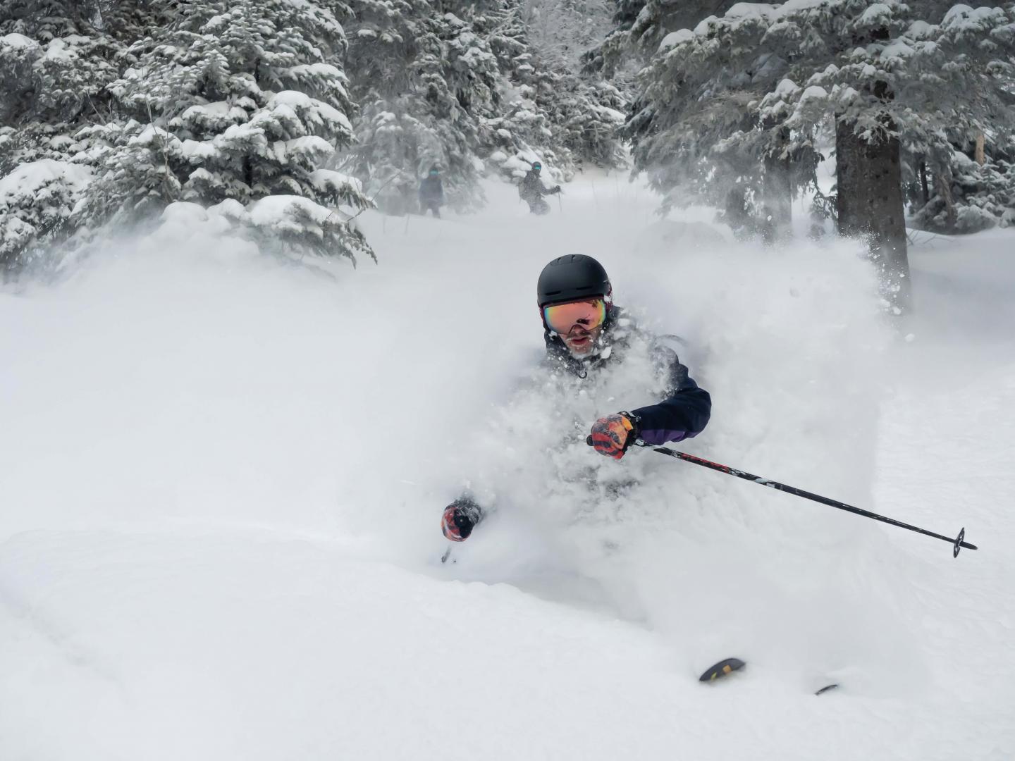 Ski alpin dans la poudreuse