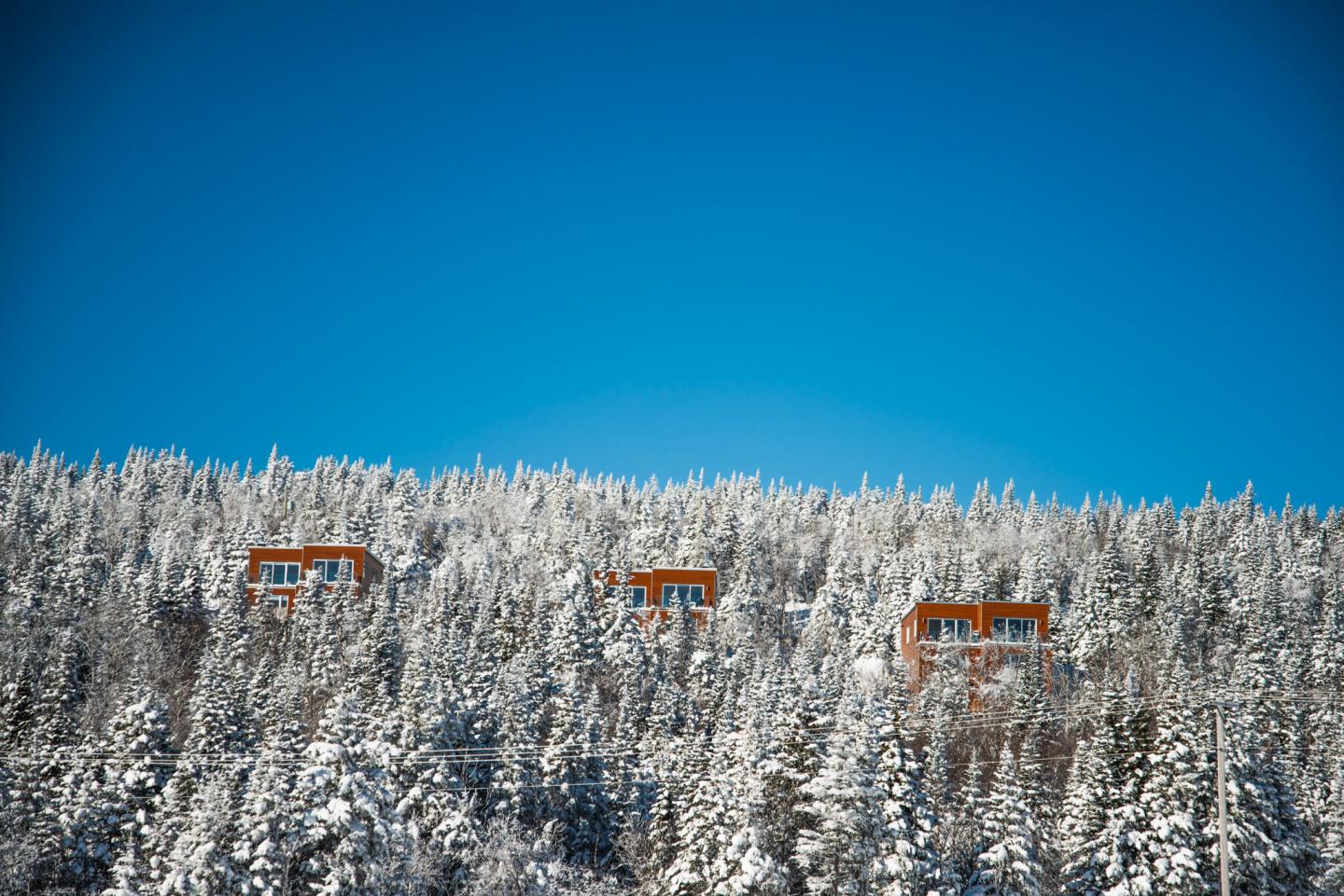 These deep nature forest chalets are tucked away among the conifers overlooking the St. Lawrence Valley