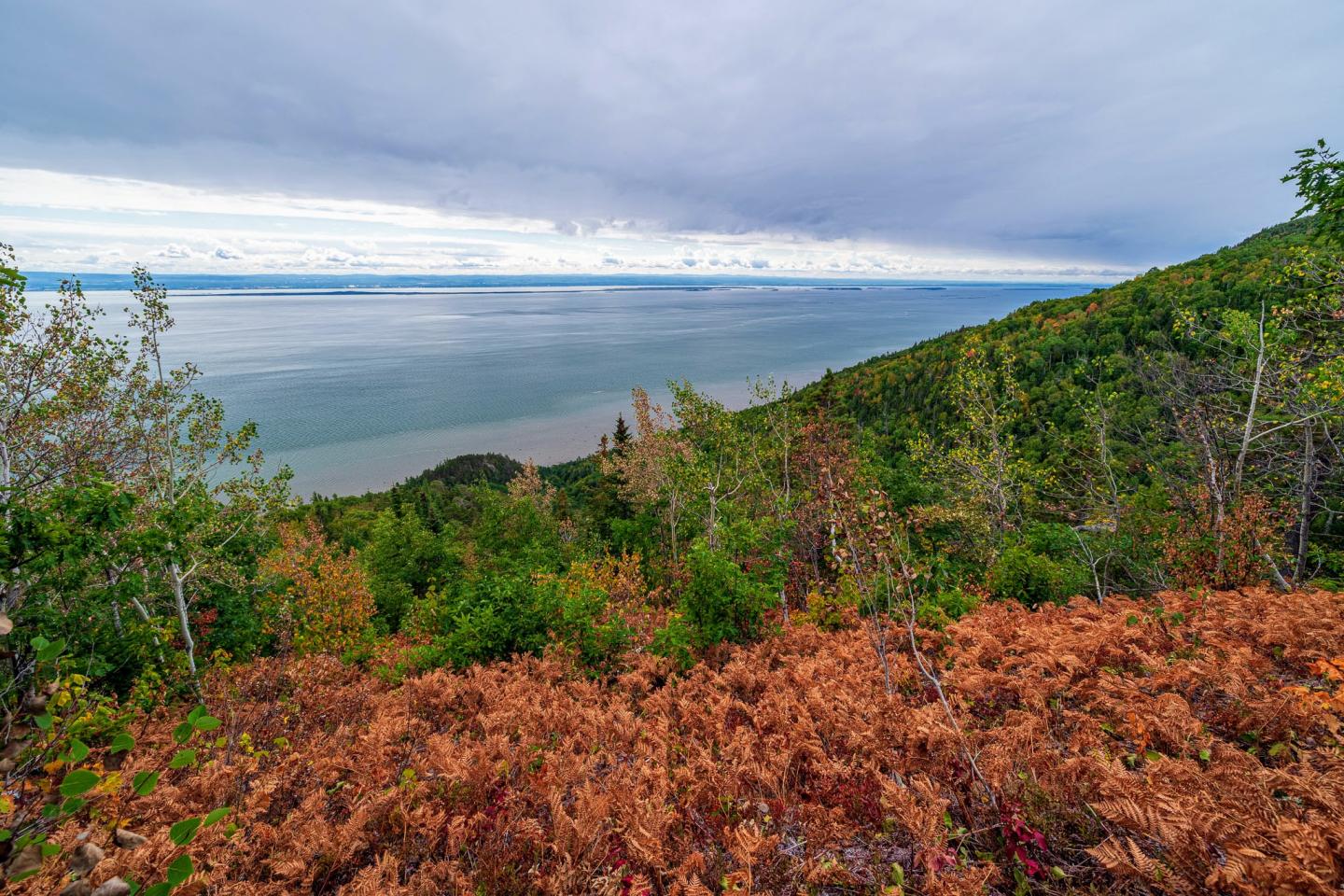 Point de vue aux sentiers des Crêtes
