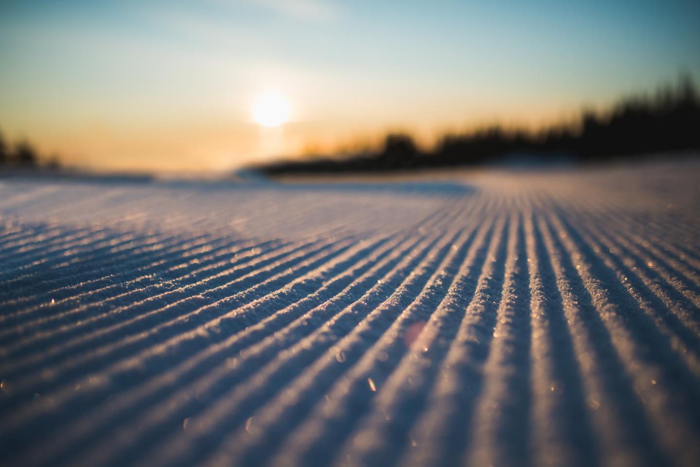 Damé au couché de soleil