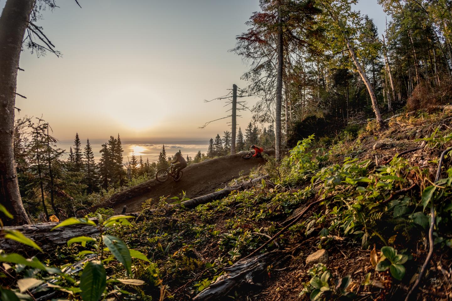 Mountain Biking
