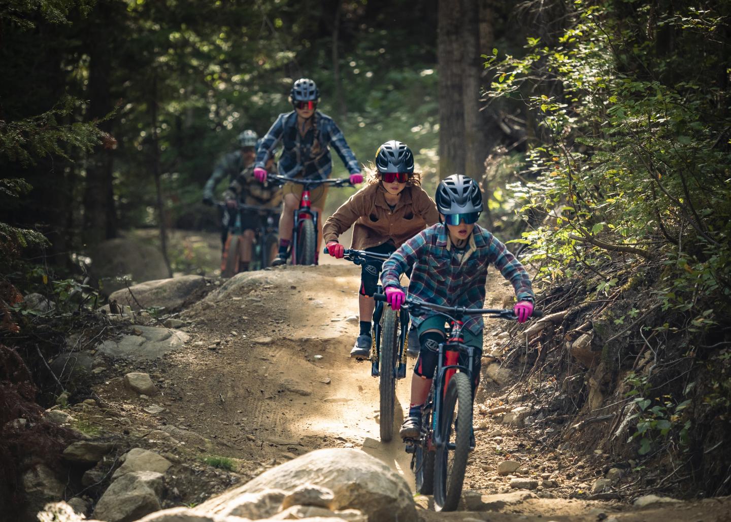 Mountain bike in family