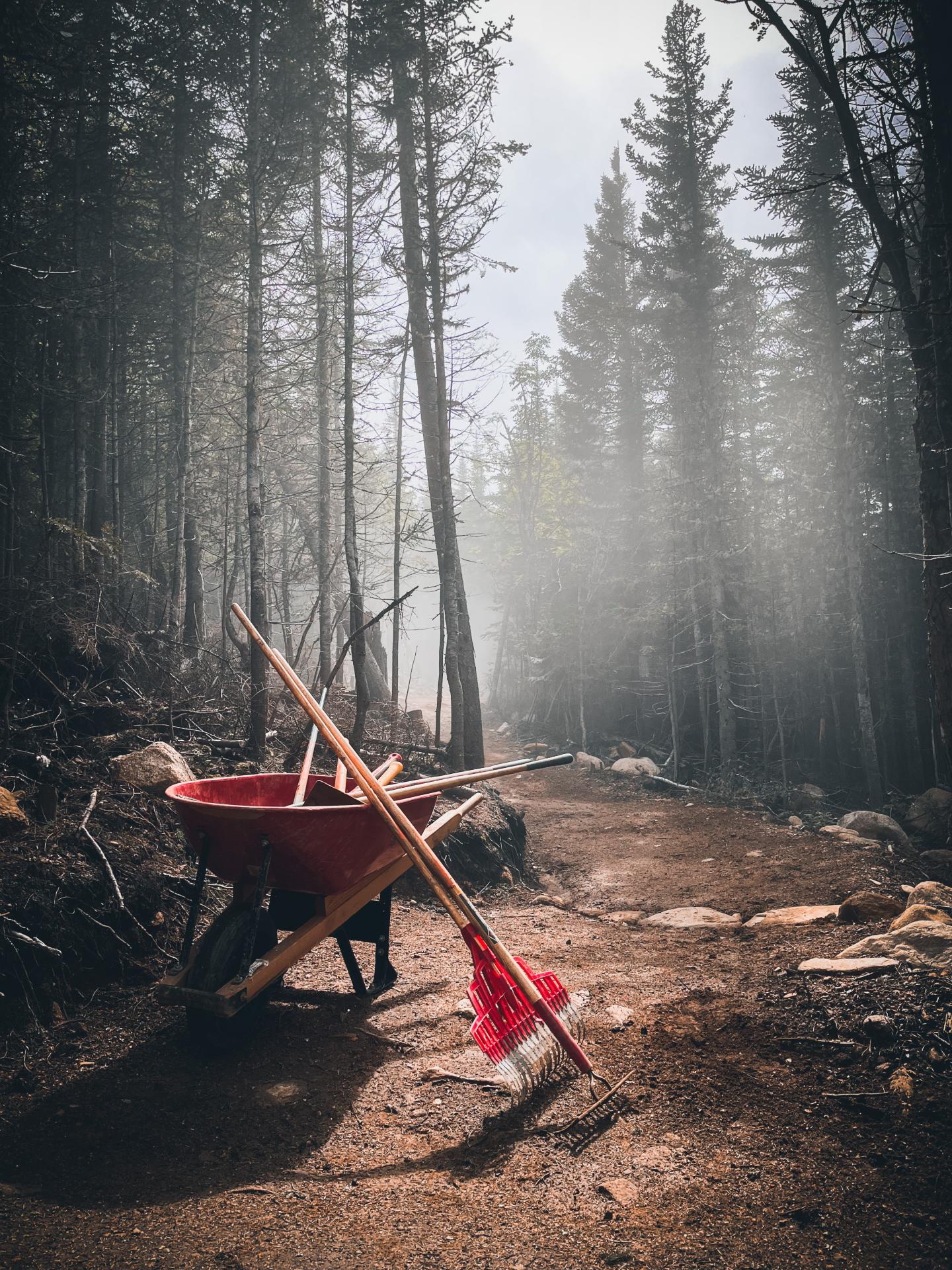 Trailbuilding au Massif