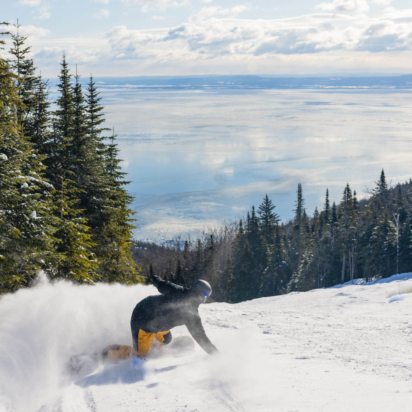 Snowboard at Le Massif