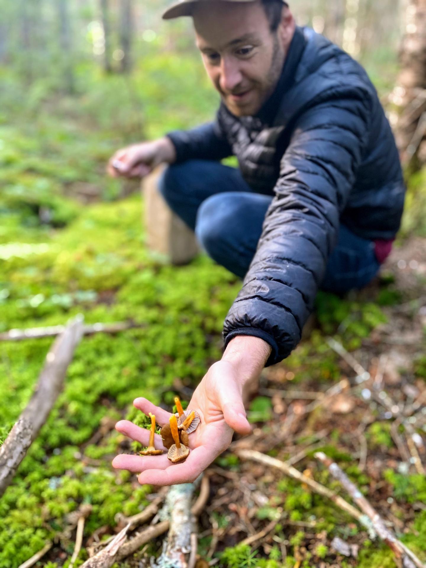 Forêt Gourmande été
