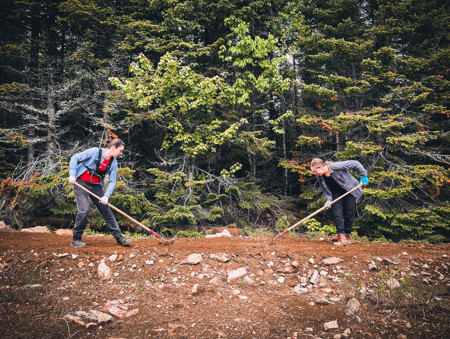 Trailbuilding au Massif