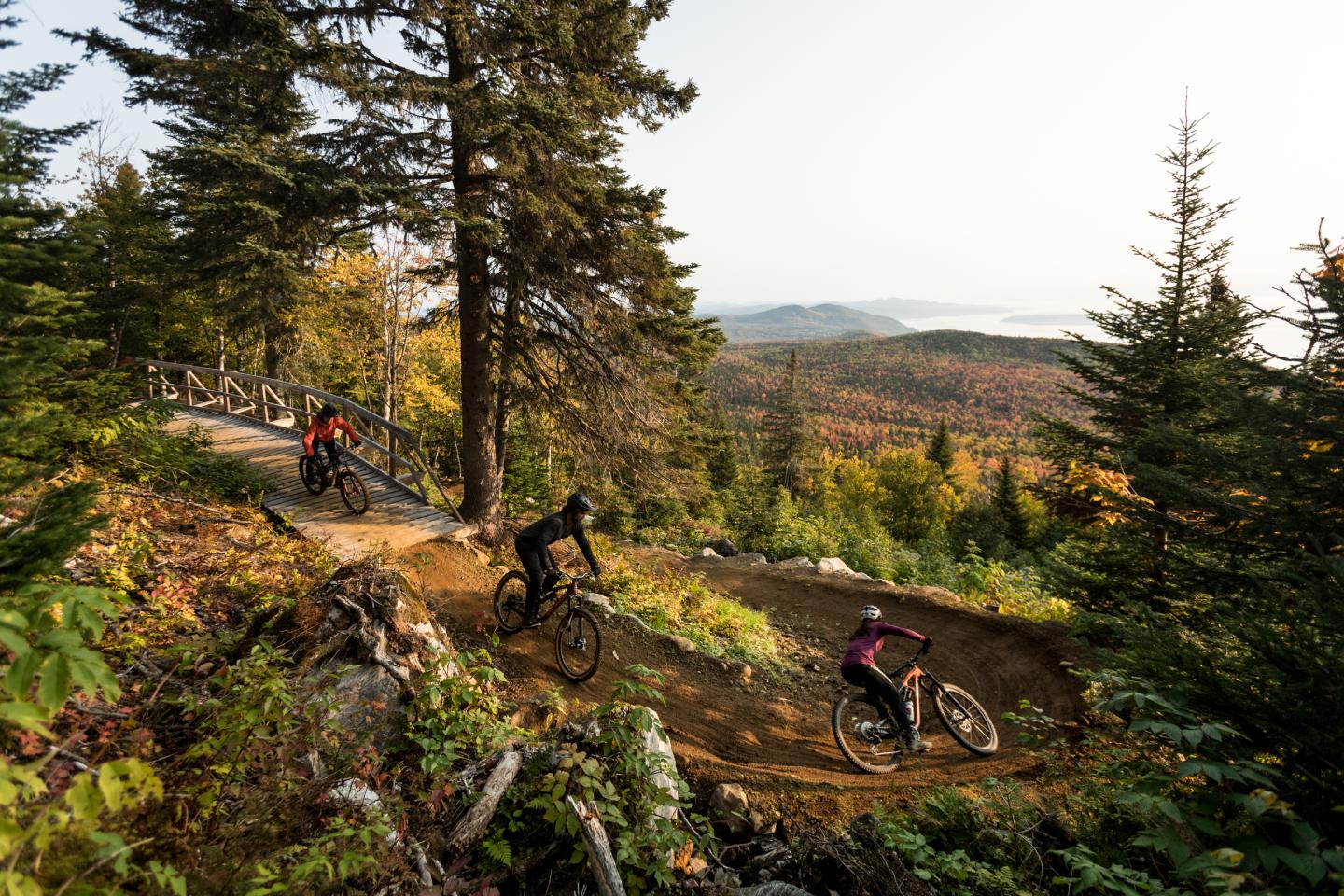 Vélo automne
