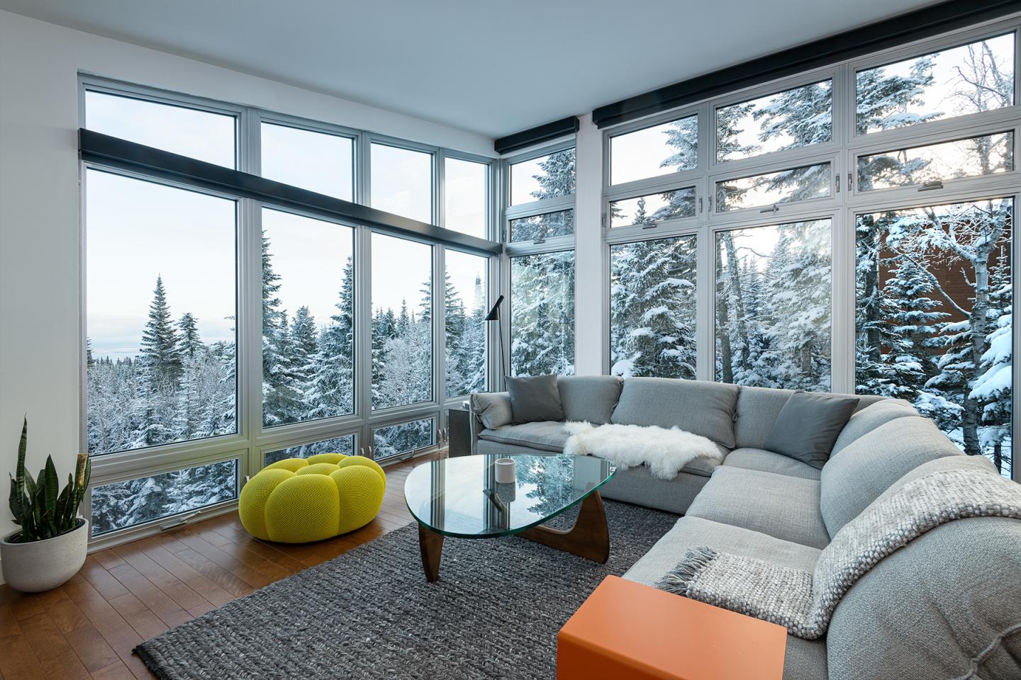 Chalet-forêt