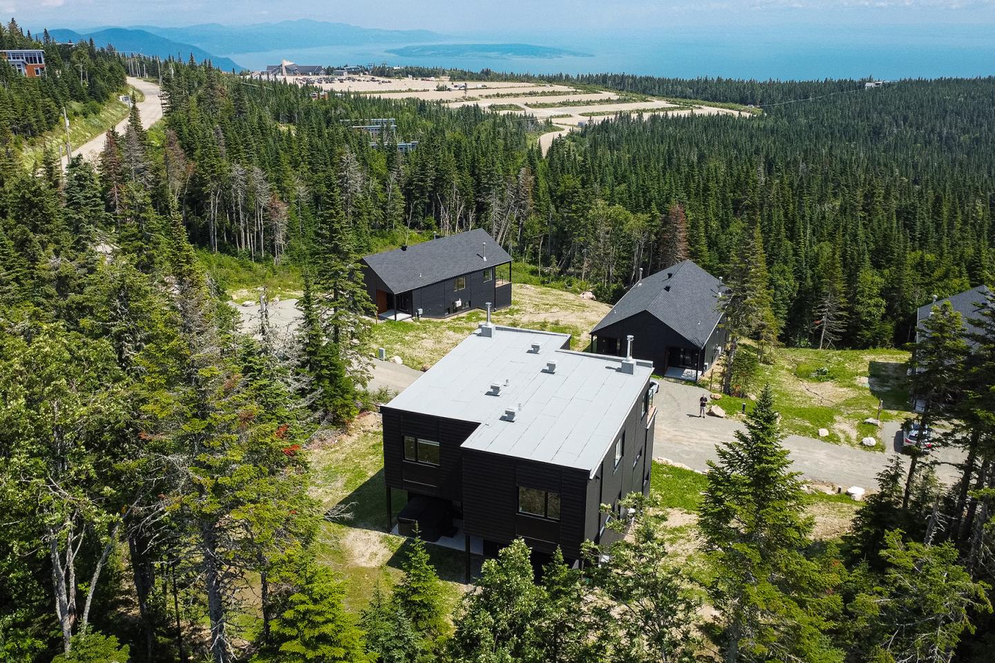 Chalet Forêt 6B été 