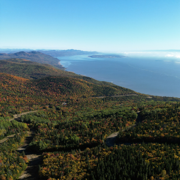 Vue automne