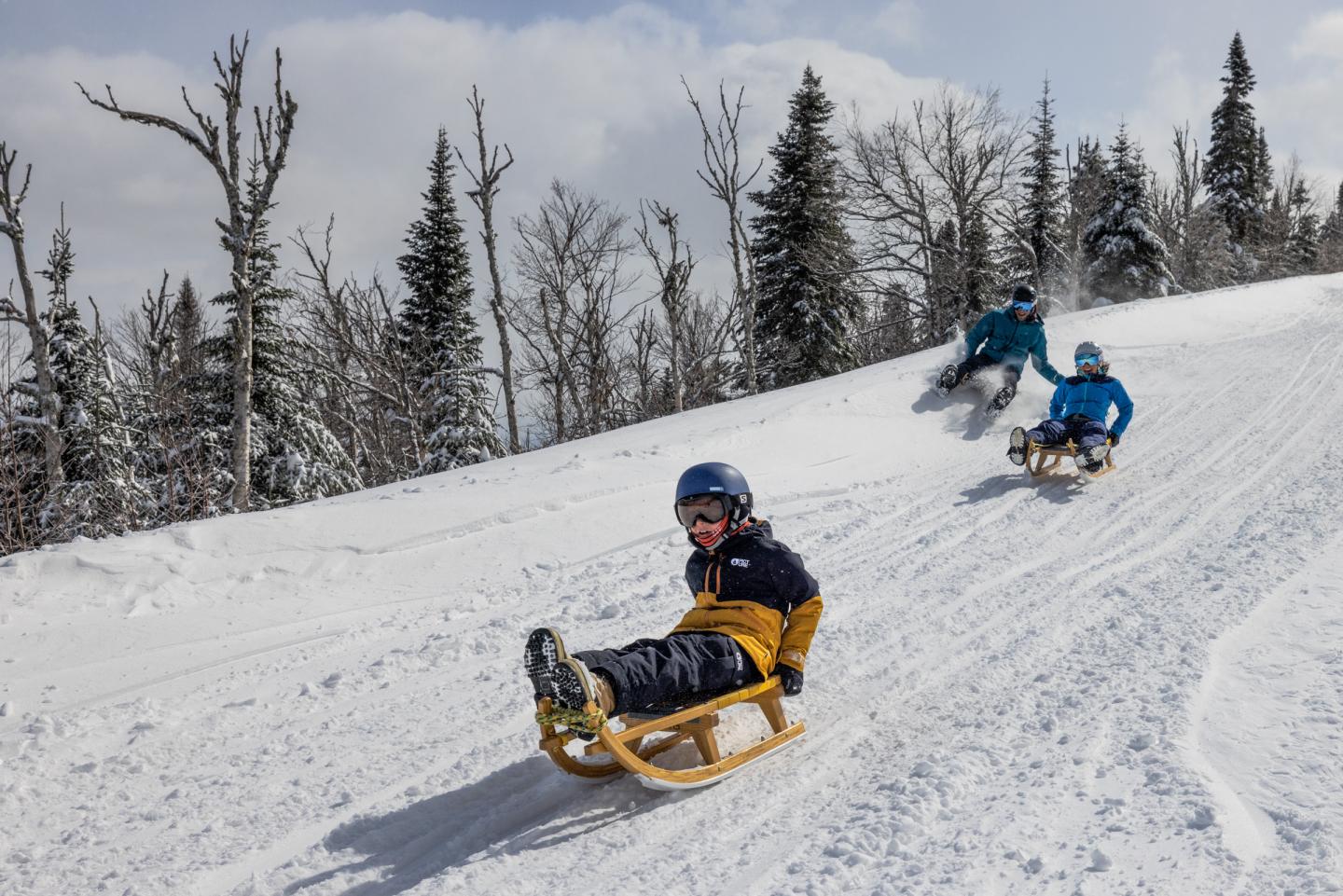 luge