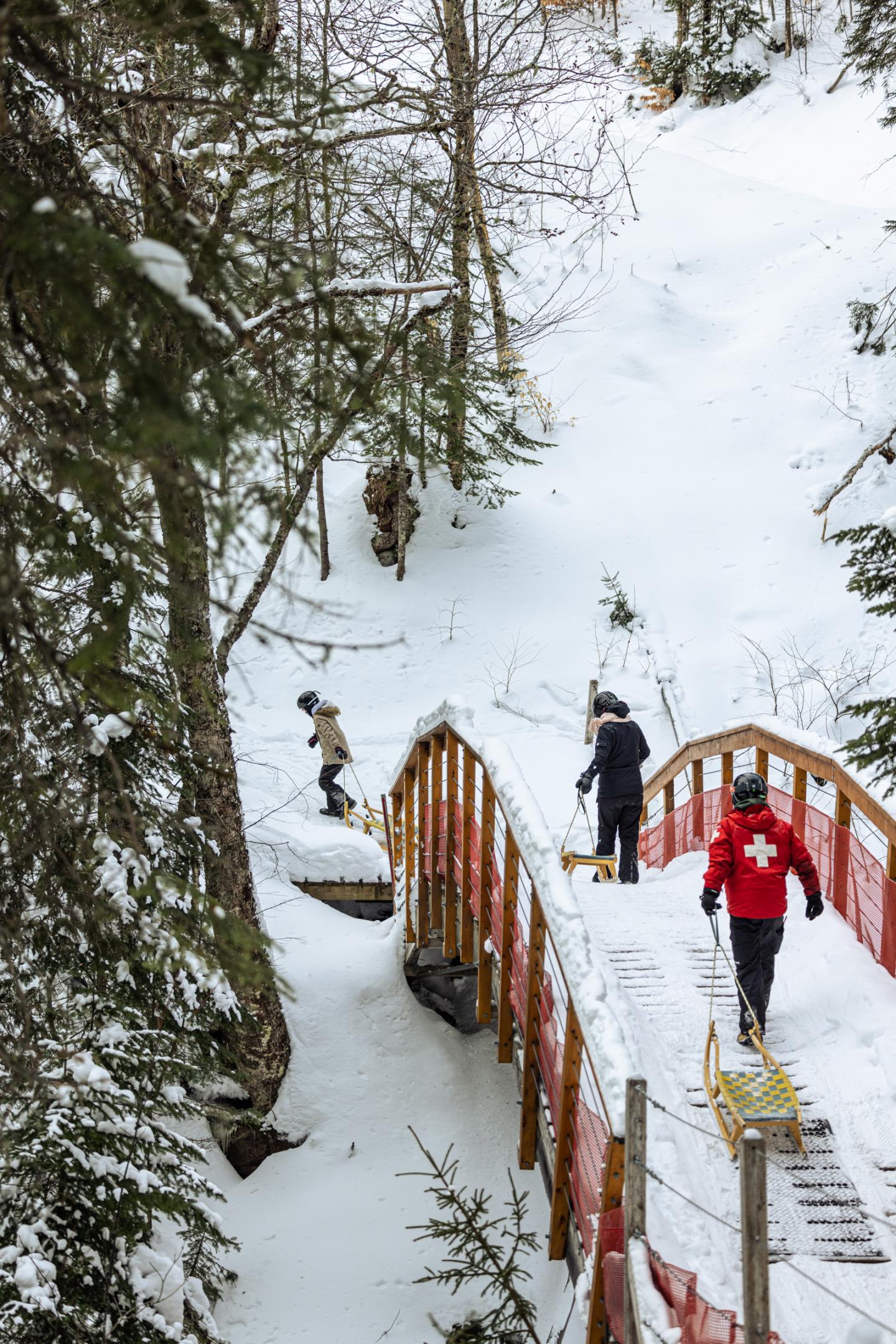Luge