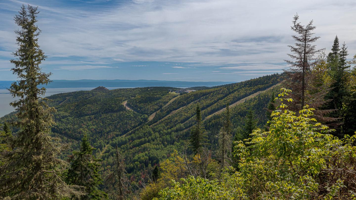 Vue de la montagne en été au Massif de Charlevoix