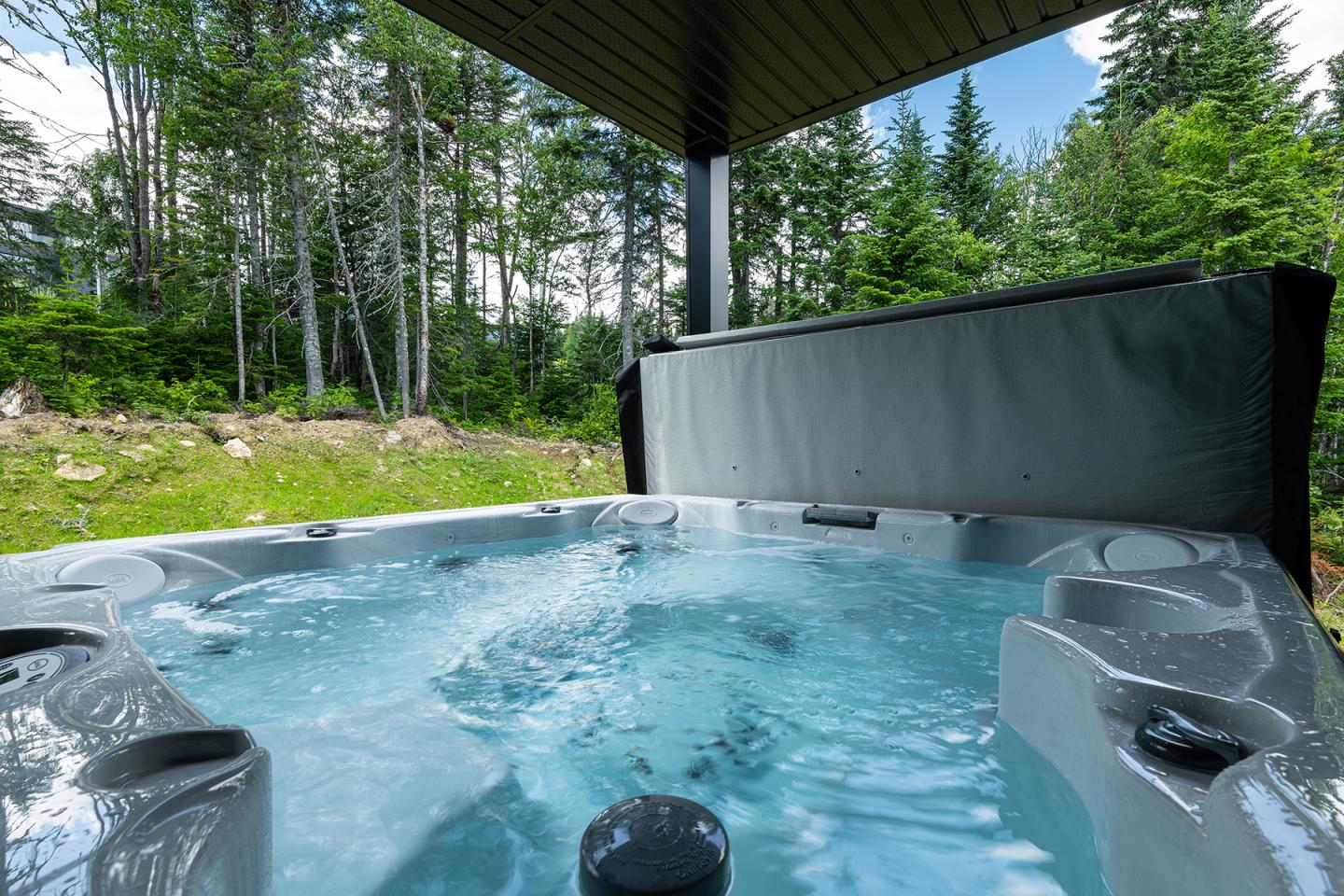Spa au Chalet foret 19B