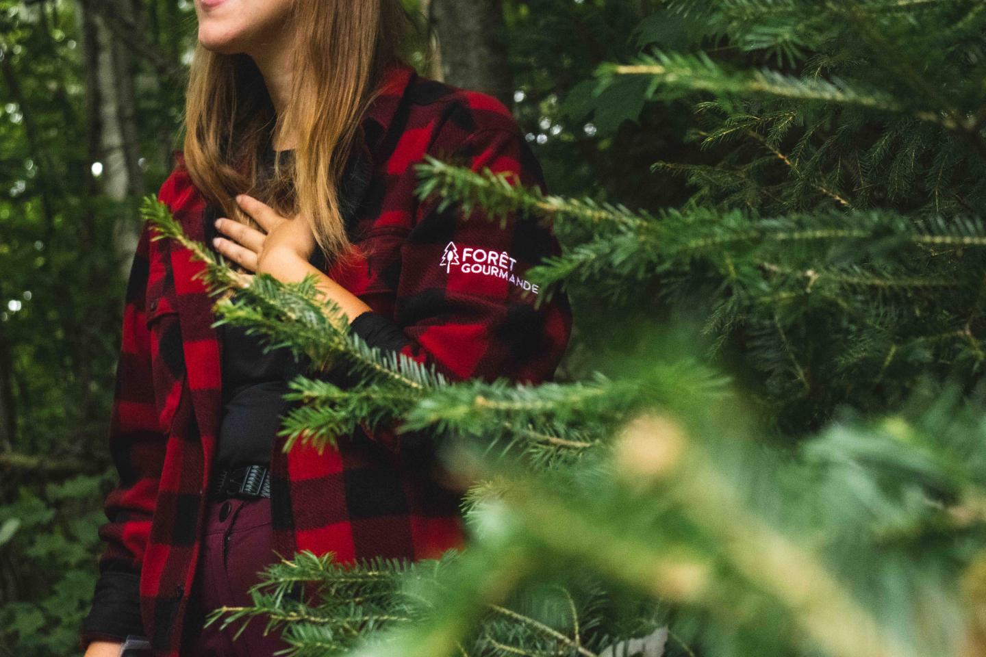 Forêt gourmande au Massif de Charlevoix