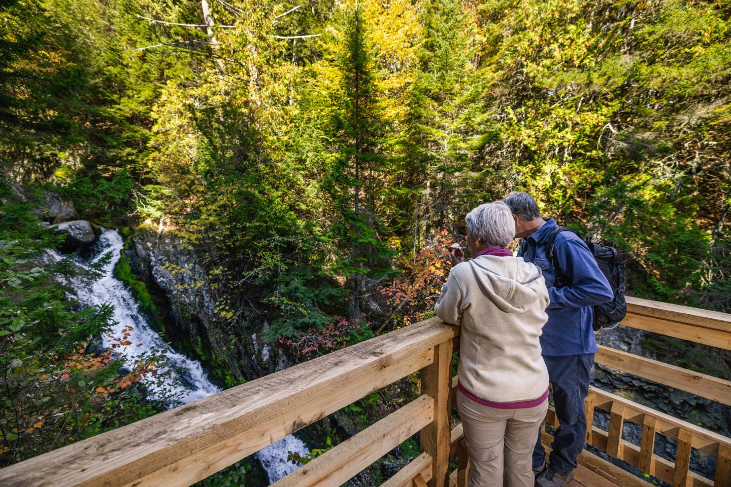 Sentier Le Forestier - Massif de Charlevoix