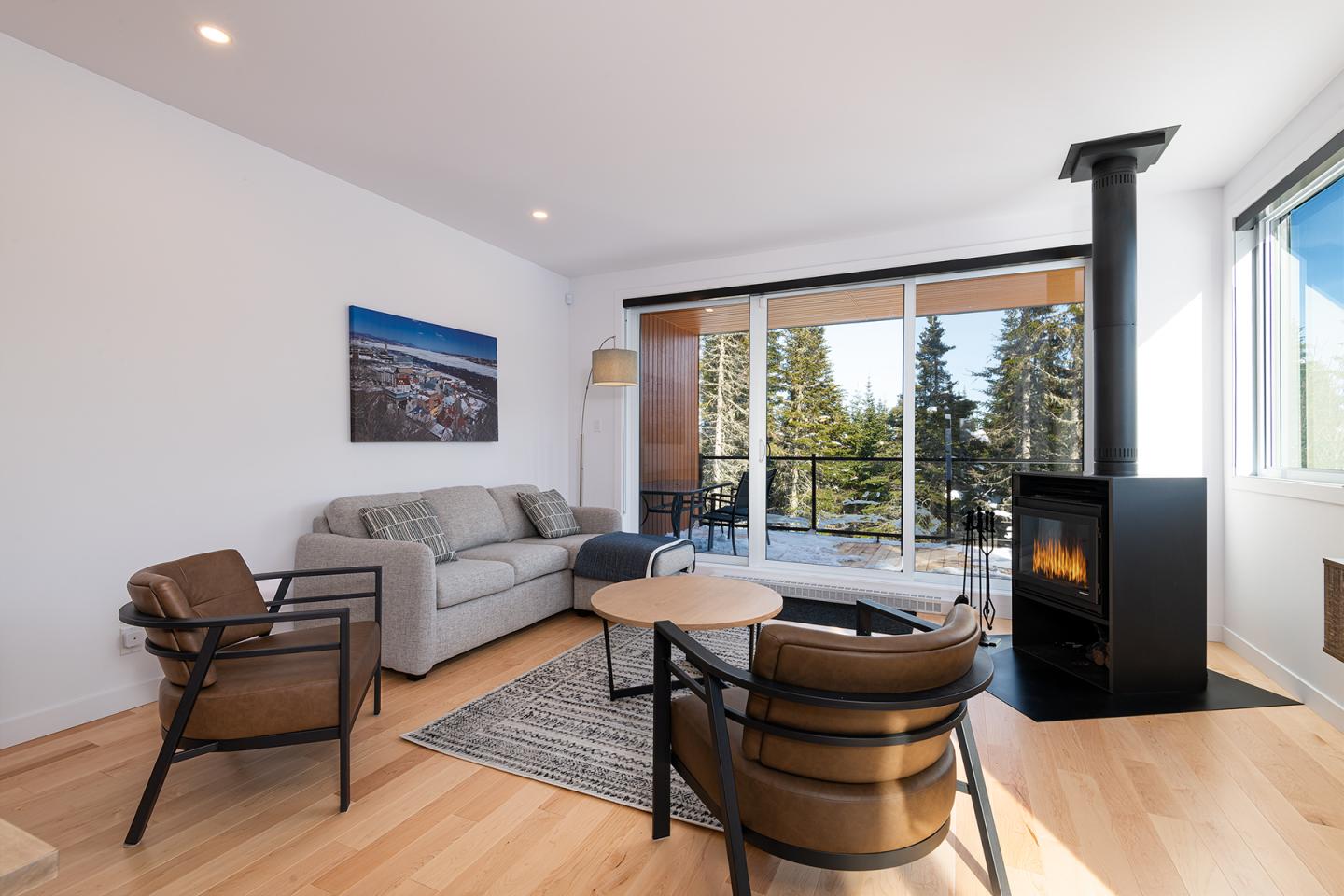 Chalet-jumelé-hiver-4b-salon