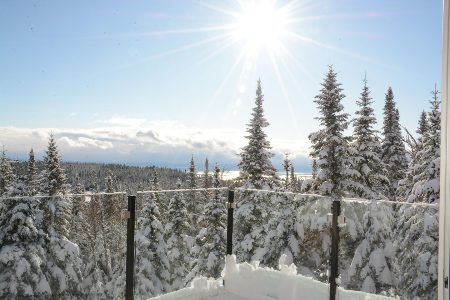 Chalet-foret 38B - hiver - terrasse