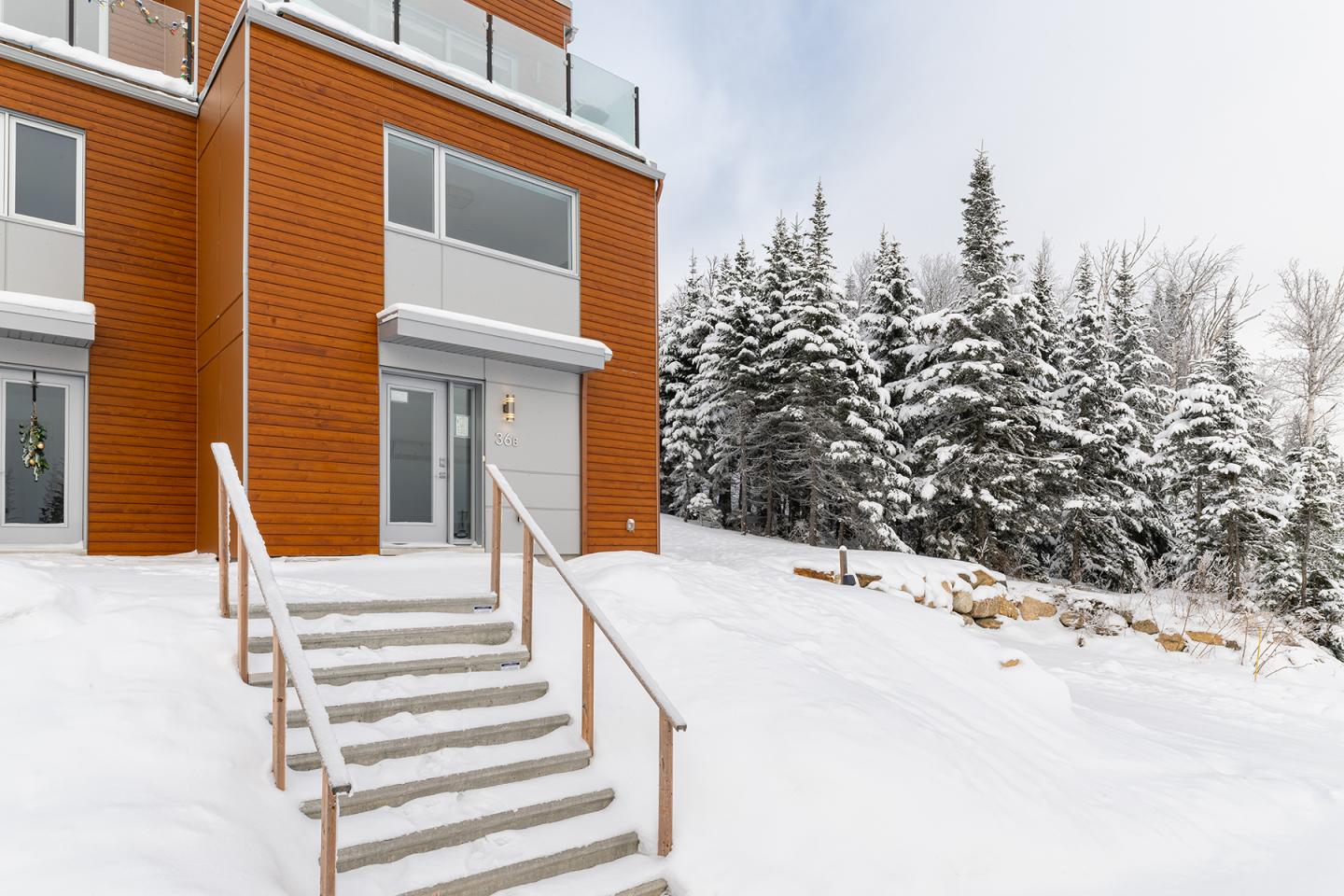 CF 36B - hiver - extérieur