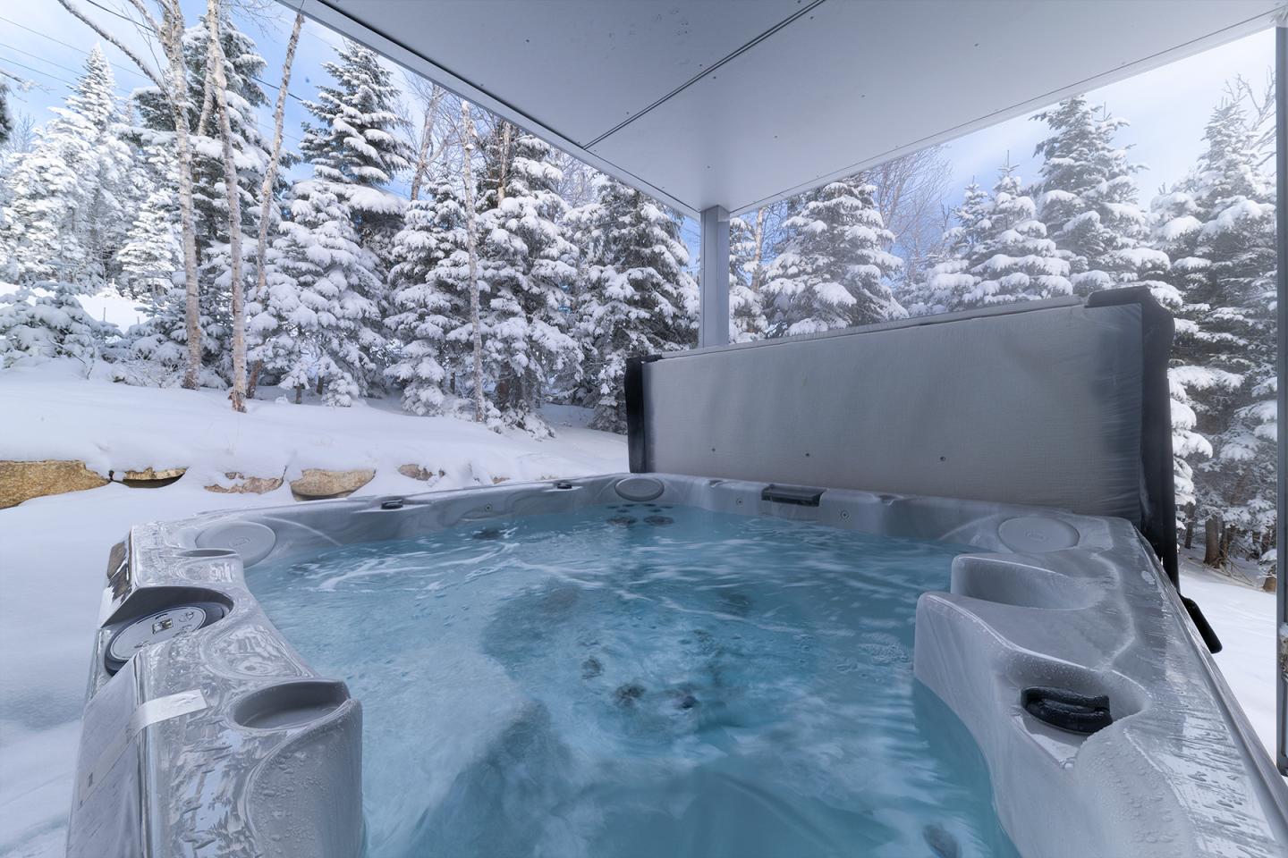 CF 36B - hiver - spa