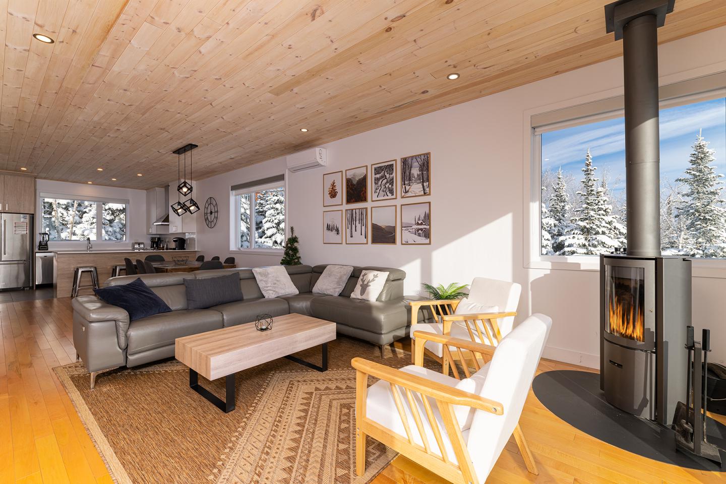 CF 36B - hiver - salon