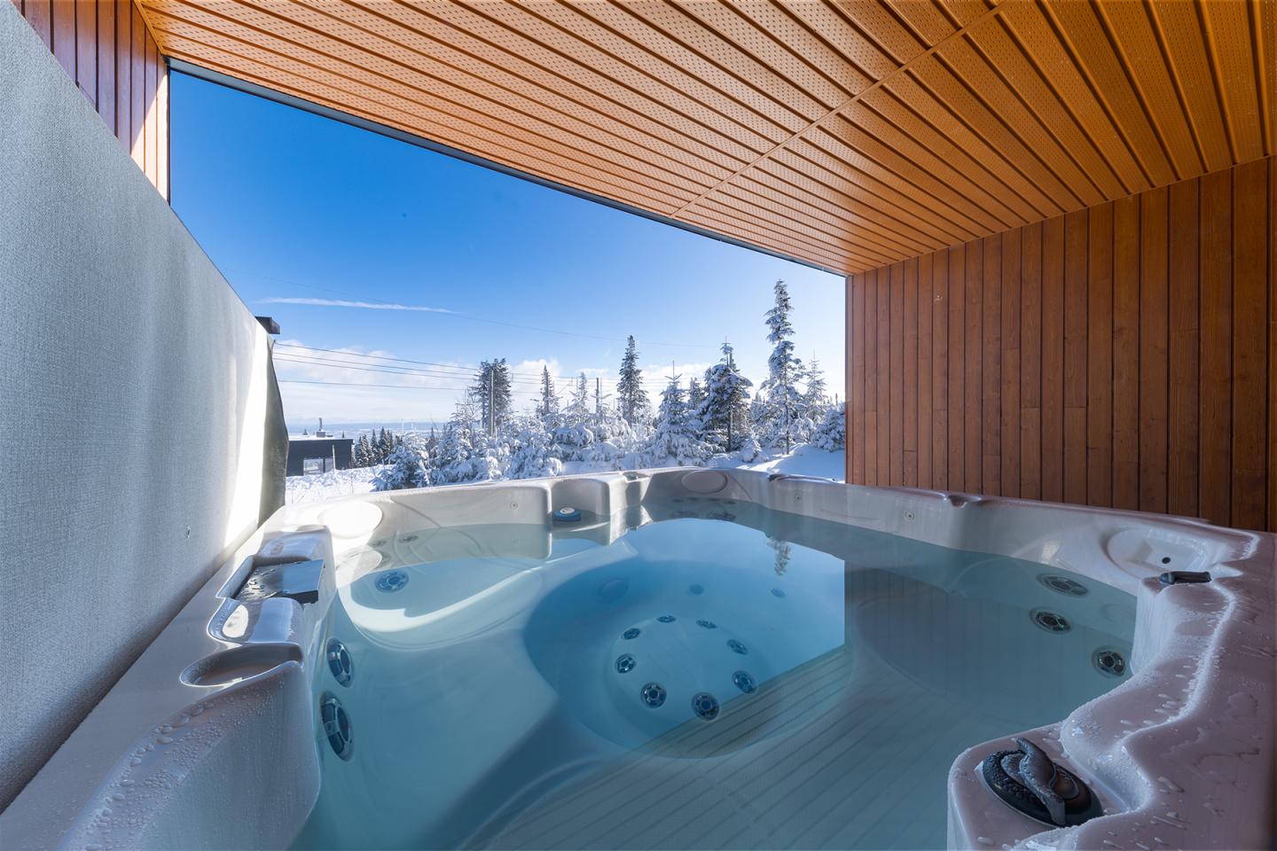 CF - 13A - hiver - spa