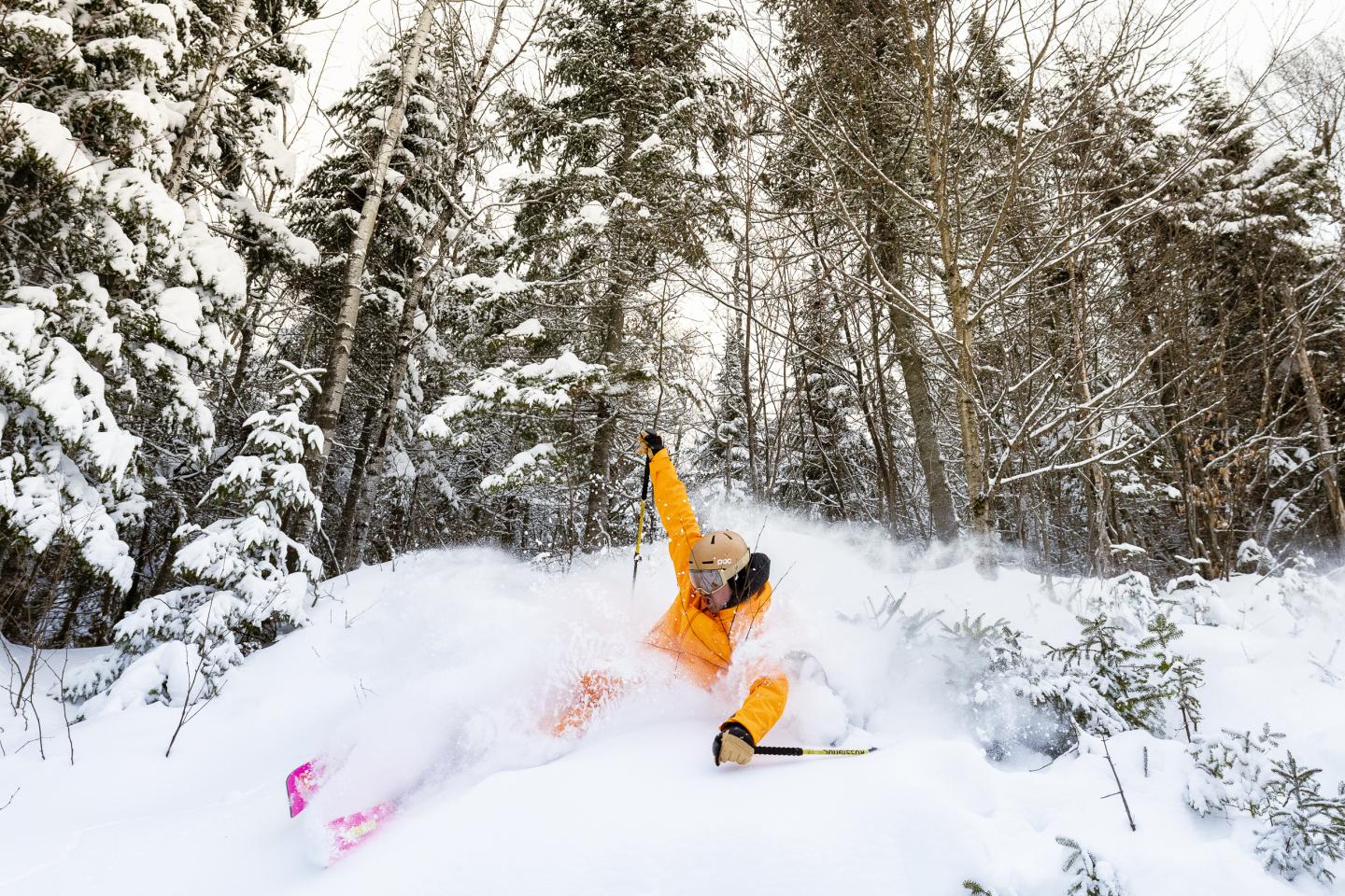ski poudreuse