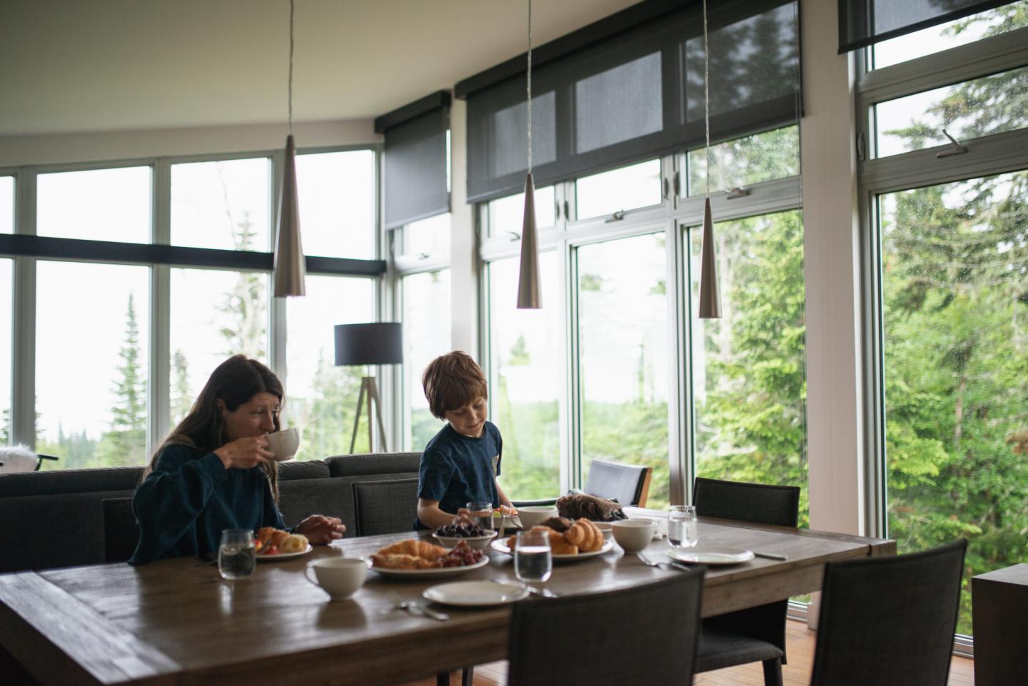 Chalet - foret