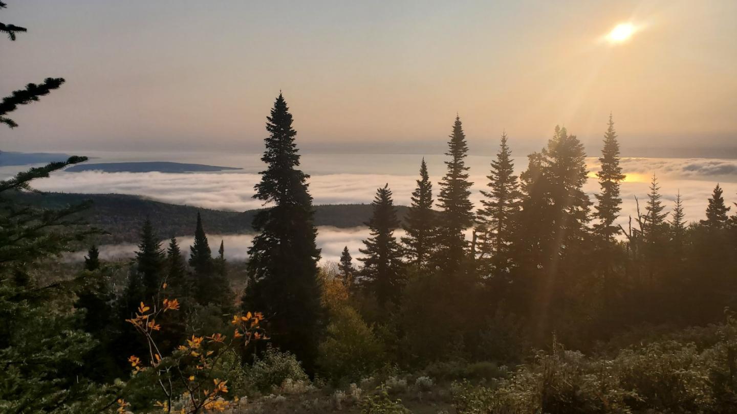 vue été fleuve