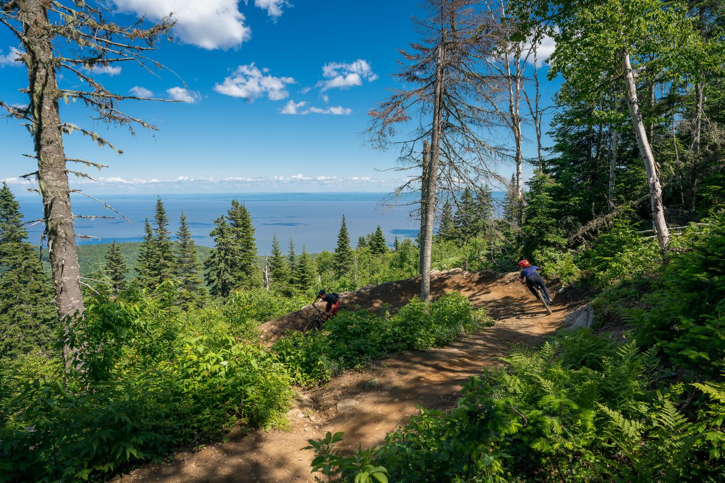 Vélo au Massif de Charlevoix