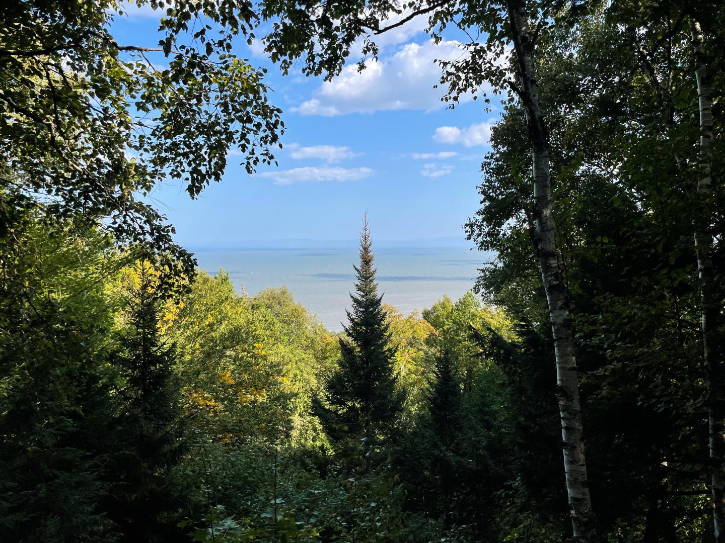 Le Forestier