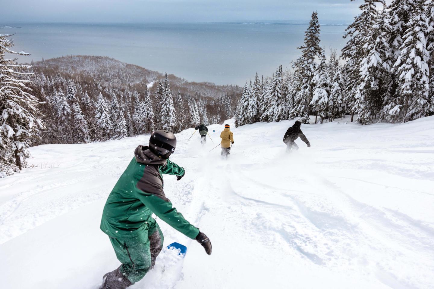 Nouveautés hiver 2024-25