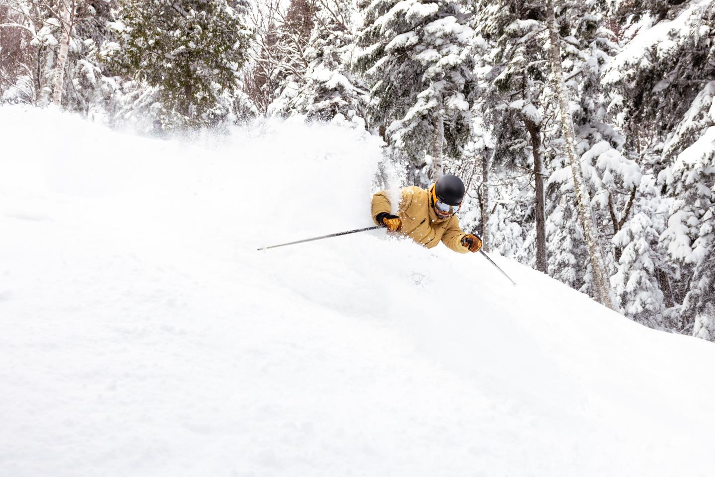 Skieur en manteau jaune sur une pente enneigée, entouré d'arbres.