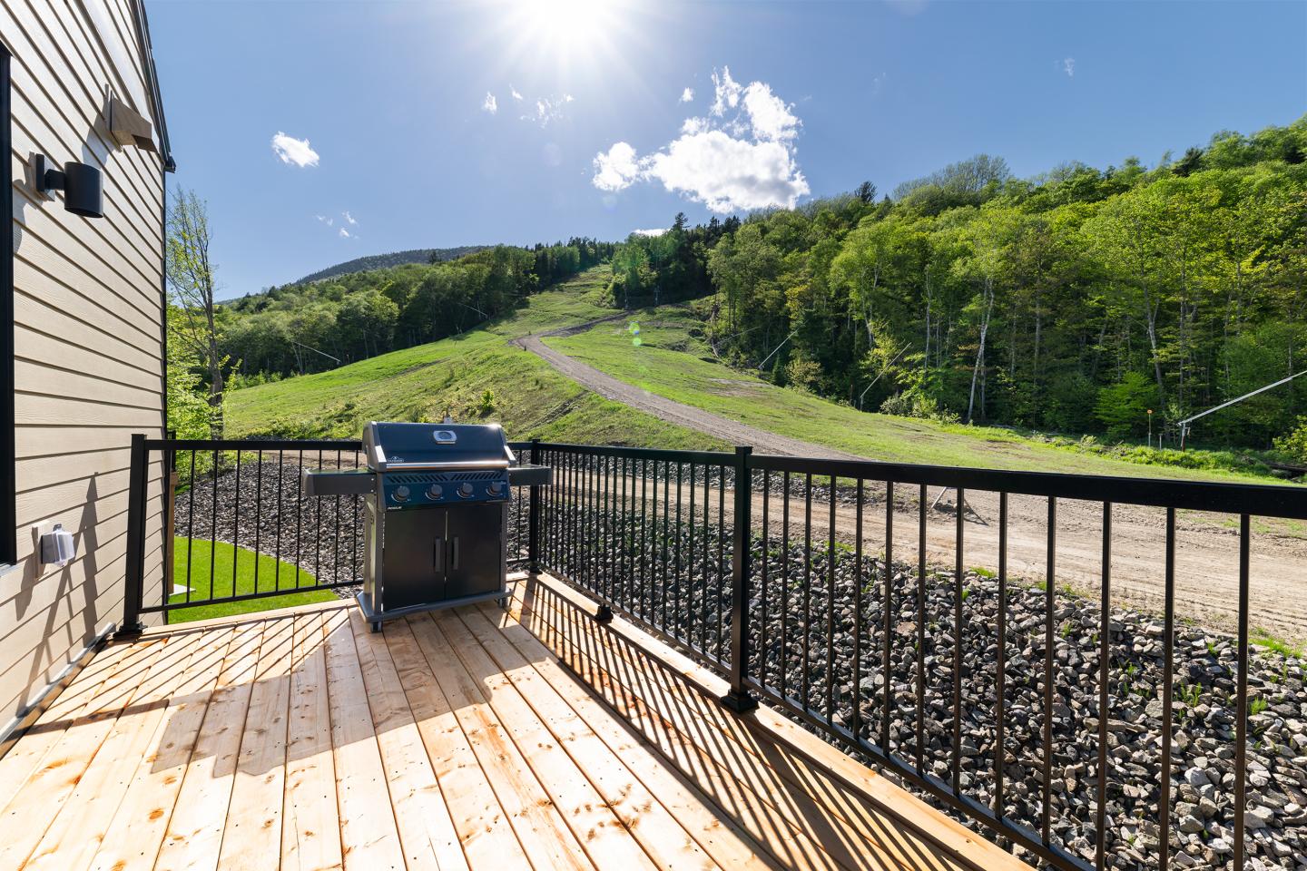 Terrasse en bois avec barbecue, vue sur colline verdoyante sous ciel ensoleillé.
