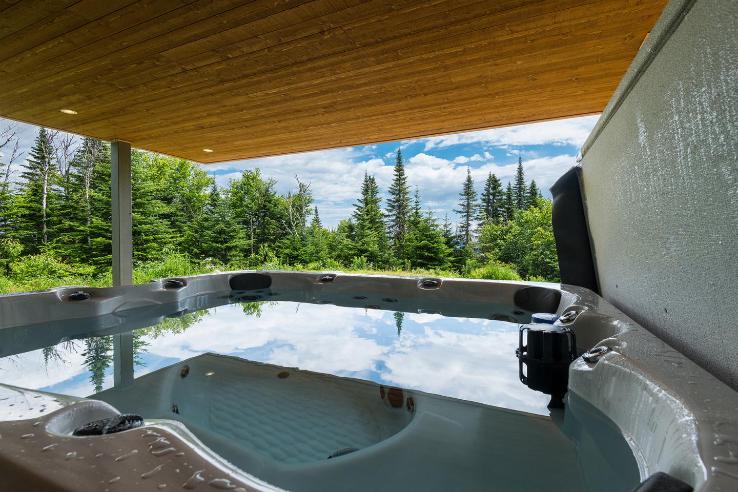 Spa extérieur sous un auvent, vue sur forêt verdoyante.