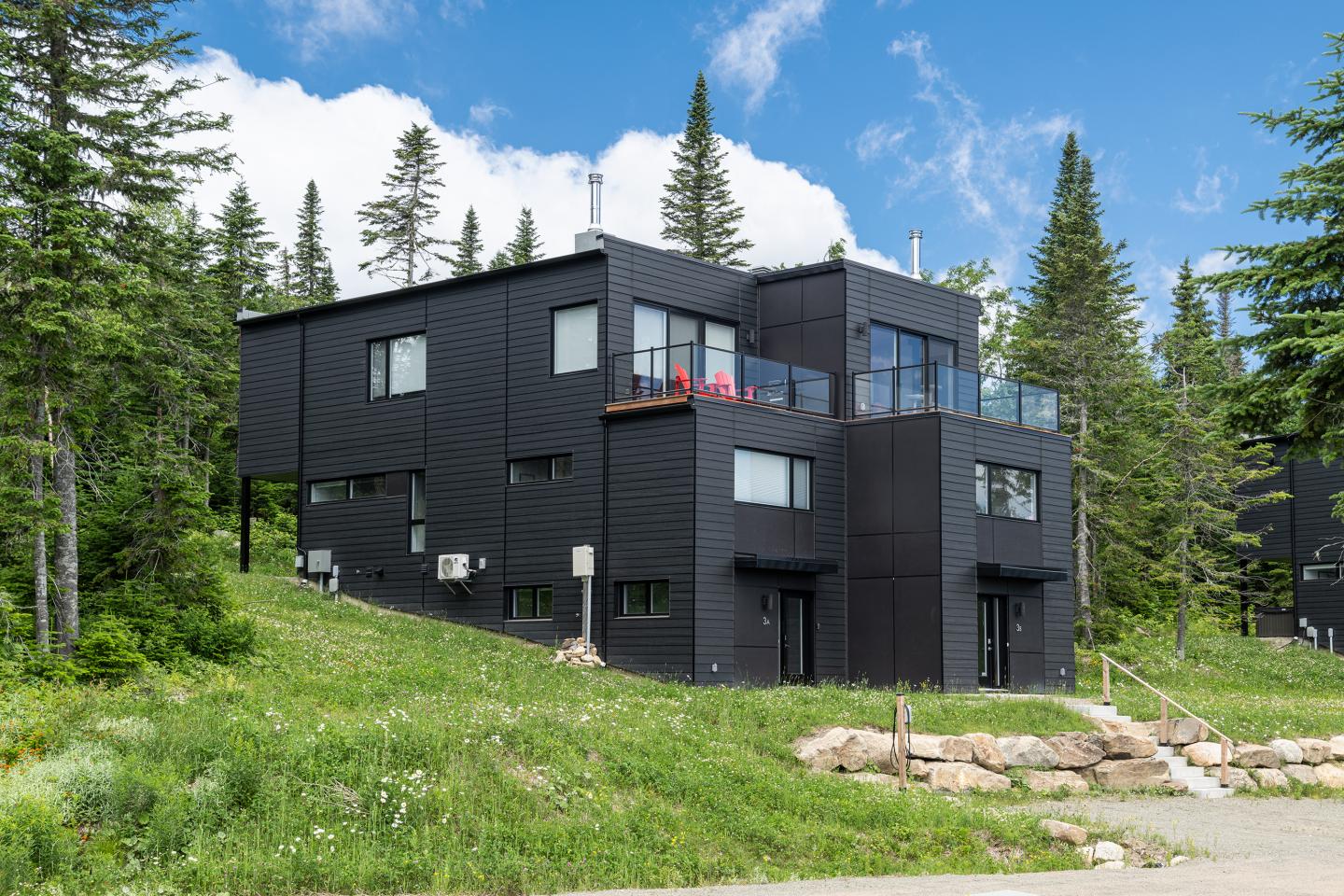 Maison moderne noire entourée de forêt et ciel bleu.