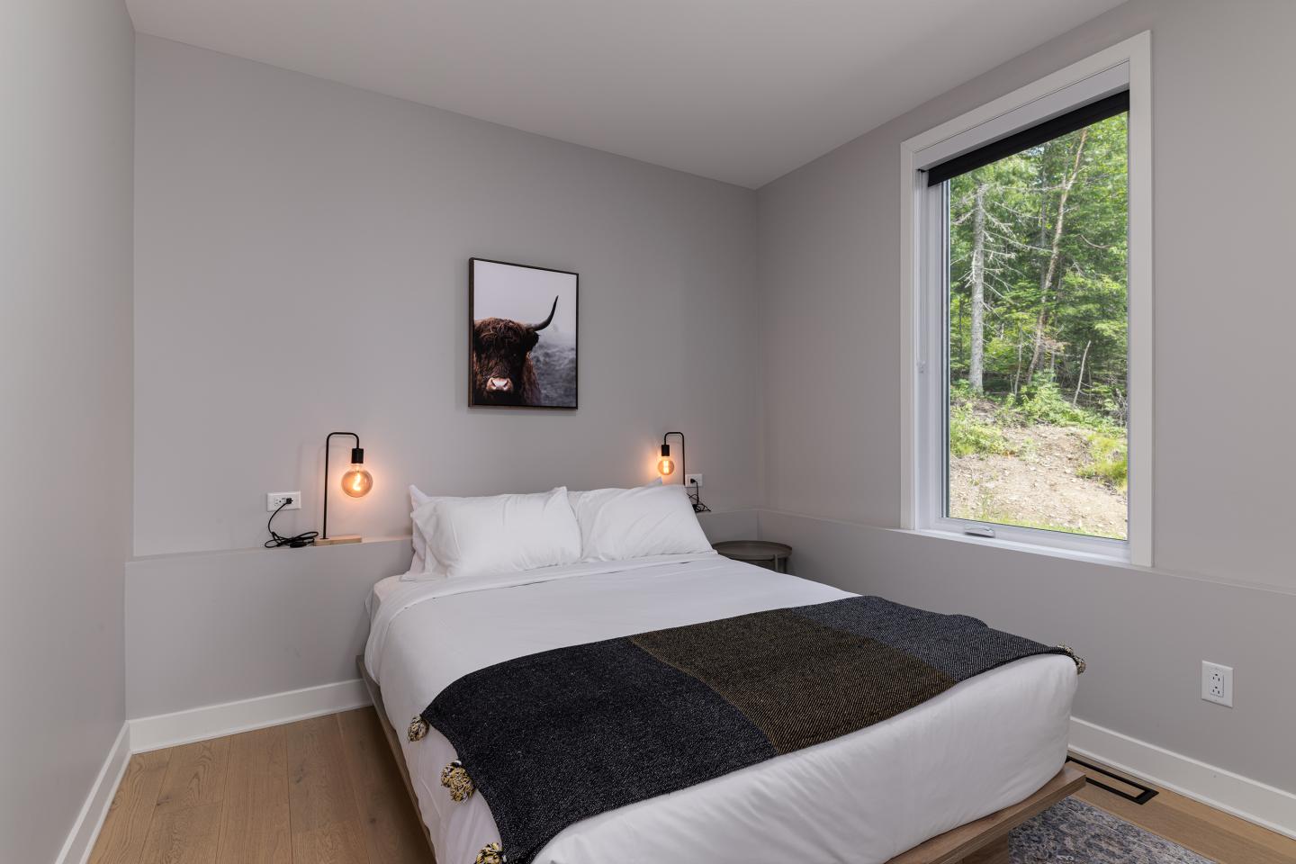 Chambre moderne avec lit double, tableau de taureau, grande fenêtre.