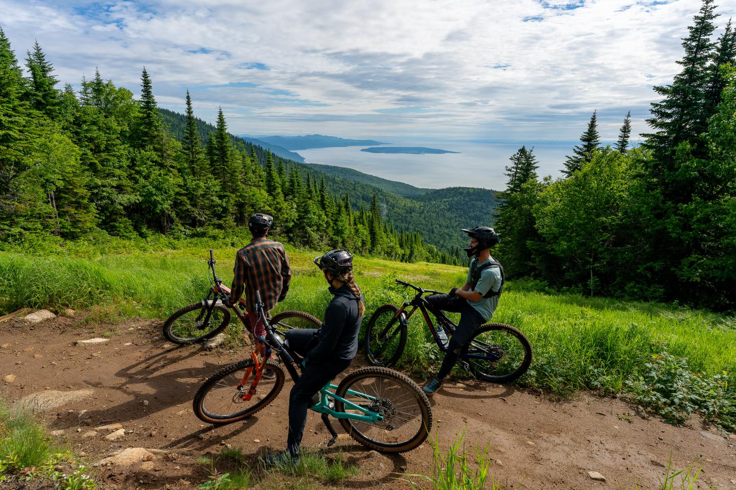 Cyclistes à VTT admirant la vue sur la mer depuis un sentier boisé.