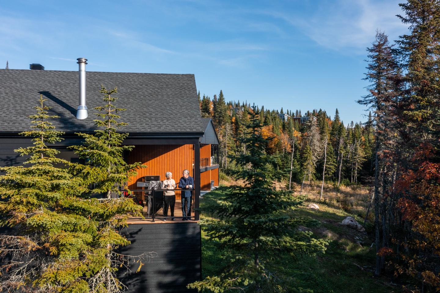Maison en bois au milieu de la forêt, ciel bleu.