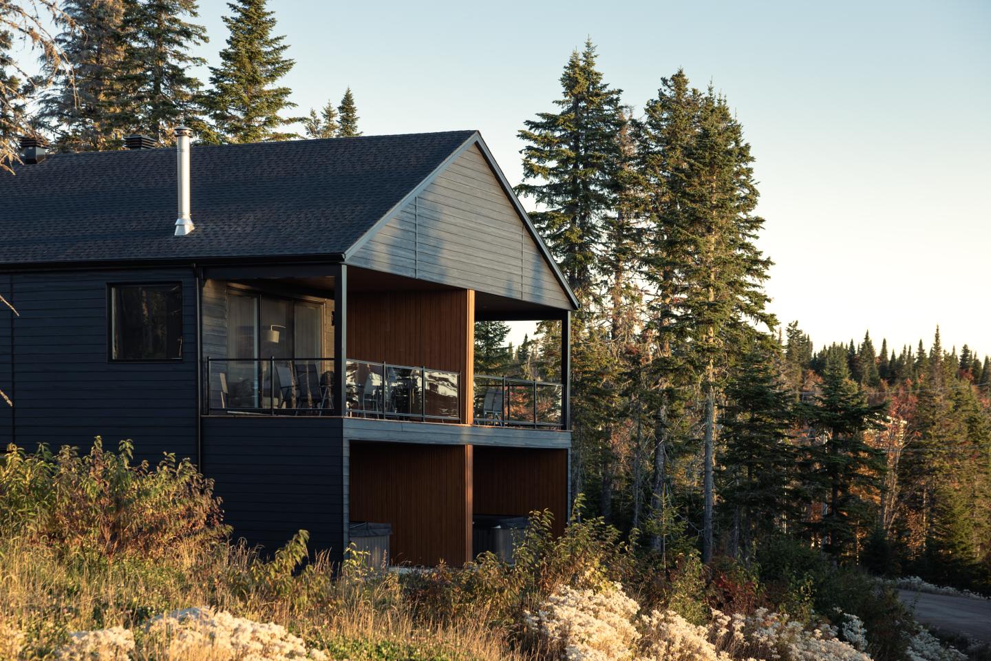 Chalet moderne en bois sombre, entouré de pins sous une lumière douce.