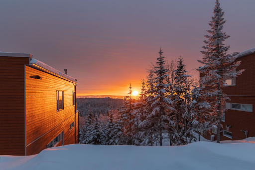 Coucher de soleil entre des chalets et des arbres enneigés.