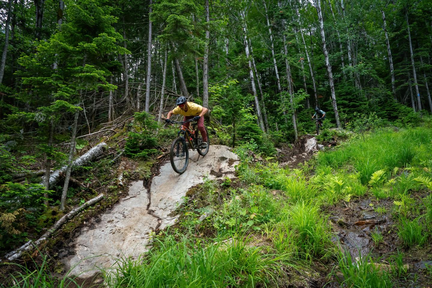 Cycliste VTT en forêt, descente sur sentier rocheux.
