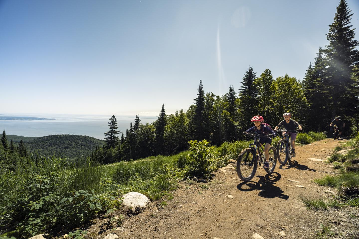 Cyclistes sur un sentier de montagne verdoyant, avec vue sur la mer.
